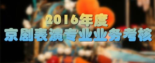 美女操比应用国家京剧院2016年度京剧表演专业业务考...